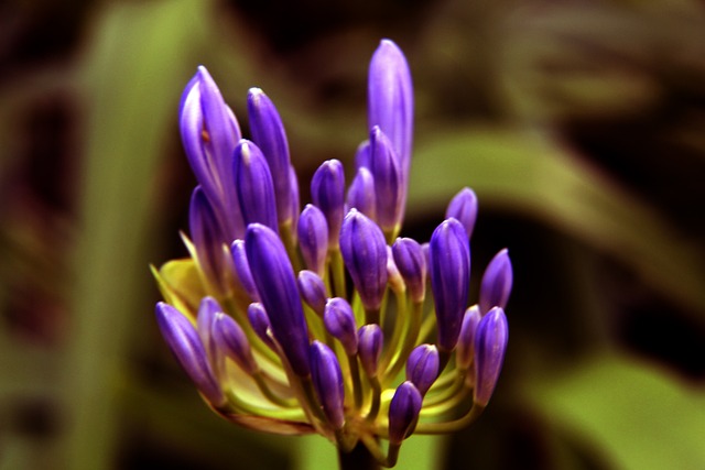 皇马维尼修斯关键进球助球队取胜