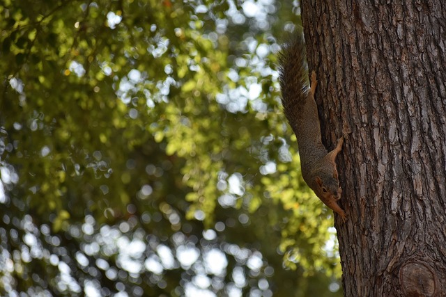 篮球CBA官方公布罚单，两名球员被禁赛