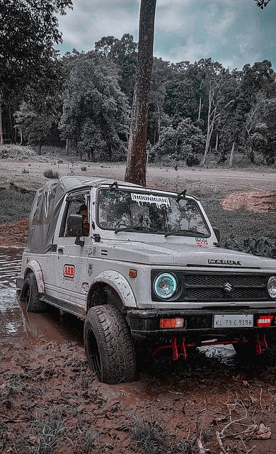 更高效的发 更高效的发