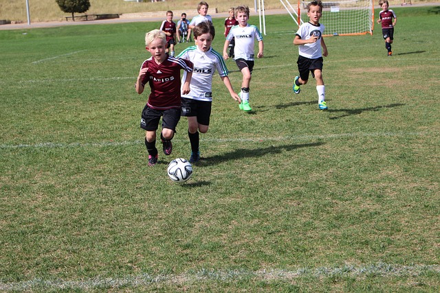 念的坚定 念的坚定