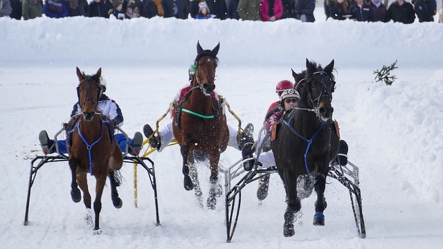 的全新挑戰 的全新挑戰