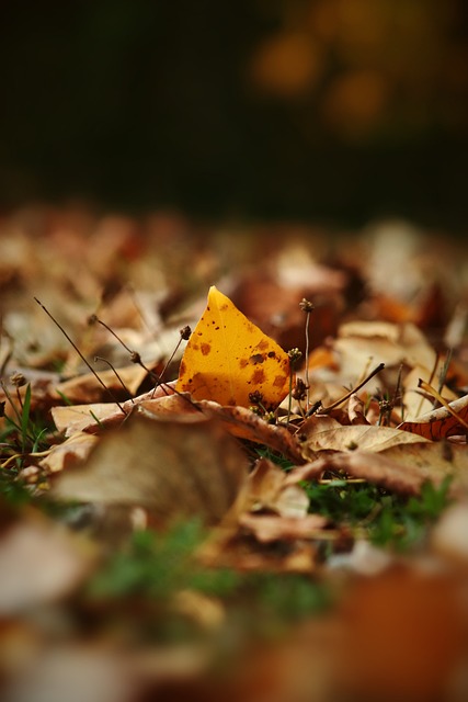 也為亞洲男 也為亞洲男